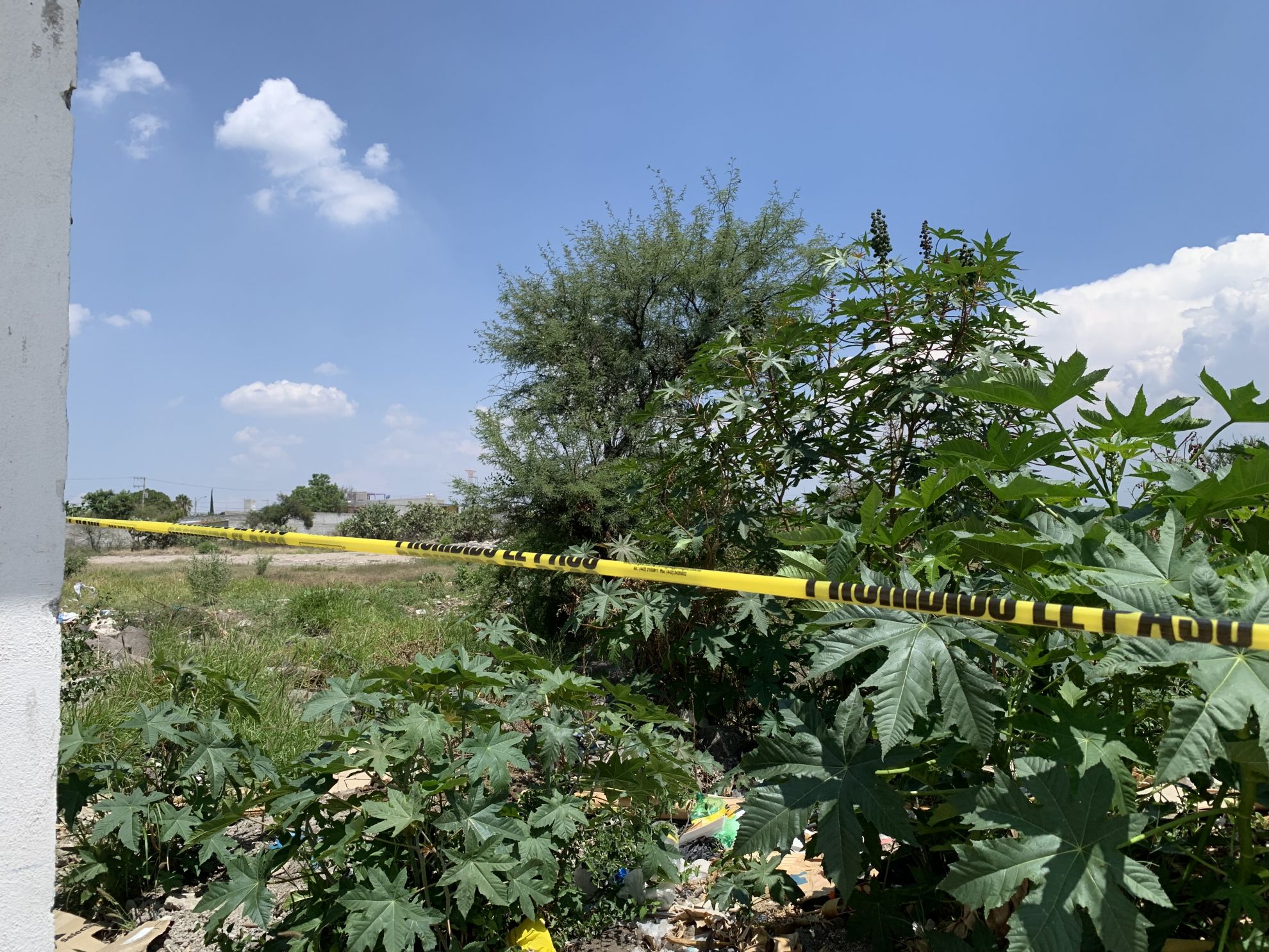 Encuentran Cuerpo Sin Vida Debajo De Un Mezquite En Un Predio De La