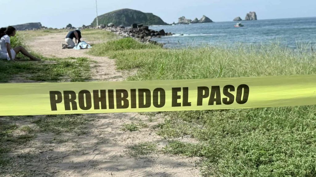 Padre e hijo originarios de San Juan del Río pierden la vida en Ixtapa ...