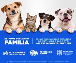 EL MARQUÉS EN ACCIÓN