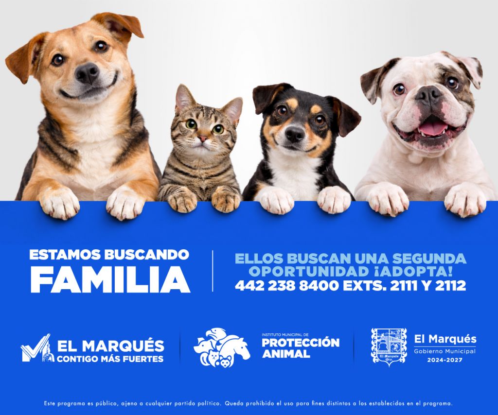 Campaña adopción